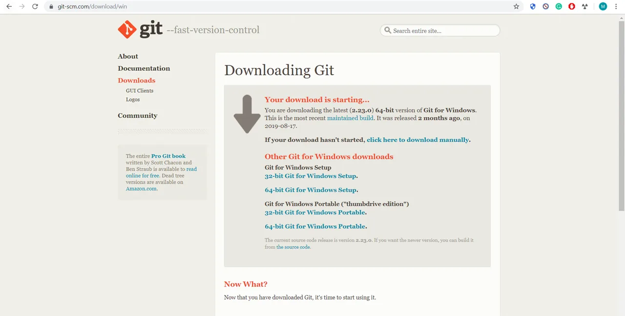 The Downloading Git page